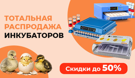 Зимняя акция